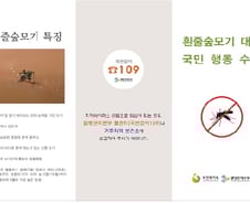 집 주변 '흰줄숲모기' 막으려면? "쓰레기통·폐타이어 제거"