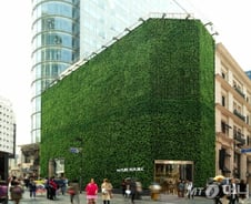 땅값 1위 명동 '네이처리퍼블릭' 3.3㎡당 2.7억…월세만 2.6억