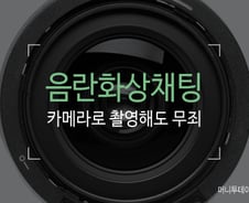 [친절한 판례氏] "음란 화상채팅, 카메라로 촬영해도 문제 안돼"