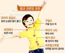 오금이 저리다… '오금'은 어디일까?