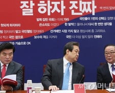 "전략공천 늘린다" 김무성 비판속 이한구案 원안통과