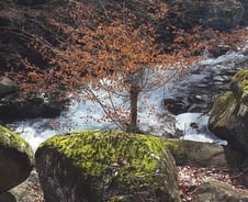 도시 남남이 산골 이웃이 되기까지