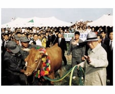 15년 전 오늘…'한국경제의 신화' 한 줌 흙으로 돌아가다