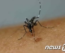 한국 첫 지카바이러스 환자 발생, '22일간 브라질 체류'(상보)