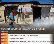 첫 지카바이러스 확정…한국도 지카바이러스 발생국가? 