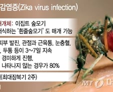 지카바이러스, 키스만 해도 걸린다?…"SNS괴담 분별해야"