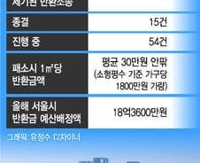[단독]서울시, 철거민 특별분양 '부당이득금 소송' 敗…'가구당 1800만원' 