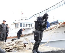 [르포]3월에 해파리를 꼭 잡아야 하는 이유