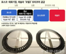 [단독]테슬라 전기차 '심장'은 한국산…태화-포스코, 모터코어 공급