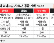 [단독] KT 첫 임대주택 '리마크빌' 월 임대료 75만원 확정  
