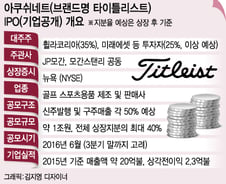 [단독]타이틀리스트 6월 美상장…'1조대 부자' 윤윤수 회장 