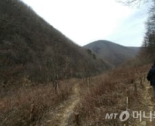 [르포]22번째 국립공원 지정 '민족의 靈山' 태백산 가보니