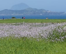단순한 삶은 단조로운 삶이라고?