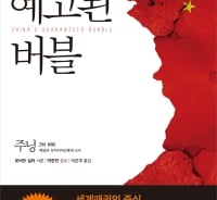 거대한 그림자를 드리우는 중국발 버블의 실체