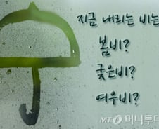 봄비, 가을비, 겨울비…여름비도 있어요?
