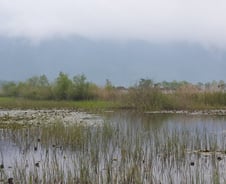 저 놈의 잡초 땜에 죽겠다고요?