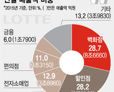 [단독]롯데 '투명경영' 박차…롯데쇼핑 전 계열사 재무통합관리 
