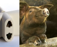 좀 민망하지만 '귓볼' 아니고 '귓불'입니다