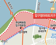 [단독] '30년' 압구정 현대백화점 증축한다…현대아파트 재건축과 분리 추진