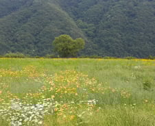 그 일 안 하면 안 돼요?