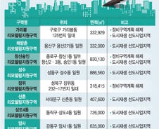 [단독] 가리봉·해방촌·창신숭인 등 8곳 리모델링지원구역 확정