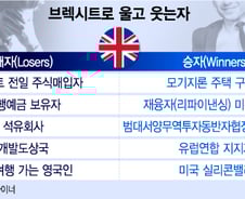 브렉시트 때문에 우는 자 vs 웃는 자