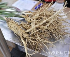 하반기부터 인삼 낱개포장 허용