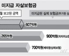 [단독]생보사, 미지급 자살보험금 알려진 것보다 최대 7배 많아