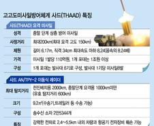 사드(THAAD)라는 무기체계는 무엇?... 敵 미사일 고고도 요격 체계