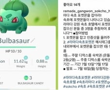 이병선 속초시장도 '포켓몬 고' 삼매경…"물 들어올 때 노 젓자"