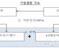 공정위, SK텔레콤-CJ헬로비전 M&A '원천적 금지'