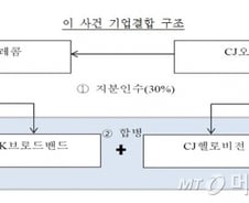 [문답]SKT-CJ헬로비전 '합병 불허'… 이유는?