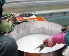 박보검 광고하는 '점안액', 원료는 '연어의 ○○'