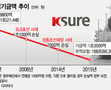 [단독]무보 ‘소난골 프로젝트’ 재평가 착수… "기존 보증 취소 가능성"
