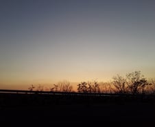 빈 틈 없는 그림과 쉼표 없는 노래