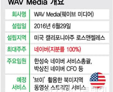 [단독]'북미 공략' 칼 빼든 네이버…新 동영상 서비스로 '승부수'