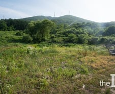 종중 토지보상금, 여자인 나도 받을 수 있나?