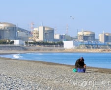 '경주 지진' 월성 원전 4기 수동정지…"정밀 안전점검 위한 것"(상보)