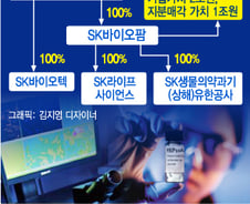 [단독]신약수출 SK바이오팜, 1조 프리IPO 나선다