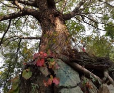 내 일은 혹시 나에게 안 좋고 남에게도 안 좋은 일?