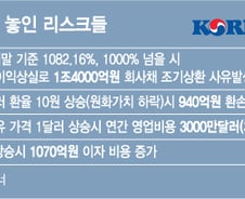 한진해운 지원나선 대한항공, 2대 리스크 '비상등'