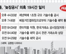 '30분사이 20%급락' 한미약품…더 커진 불공정거래 의혹