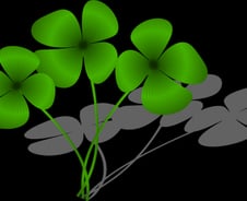 실력자와 행운아가 싸우면 결국 운 좋은 사람이 이긴다