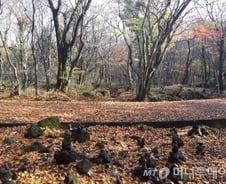 평생 어깨가 휘도록 더하고 쌓다가 ‘사망!’