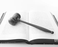 21살 아들 양육비 지금도 받을 수 있나