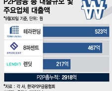 [단독]P2P대출, 단일 기관 투자는 안된다..유사 '대부업' 차단