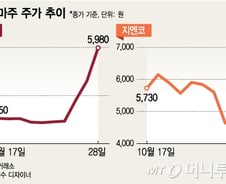 [단독]'최순실 게이트'에 정치테마주 기승, 금융당국 점검