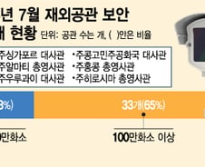 [단독]재외공관 35%, 저화질 CCTV 구매…'무용지물' 예산낭비
