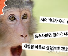 드라마만?… '막장' 넘치는 대한민국 
