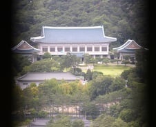 "성적 목적의 약품?"… 靑 '마취제' vs 의료계 '상상하게 만든다'